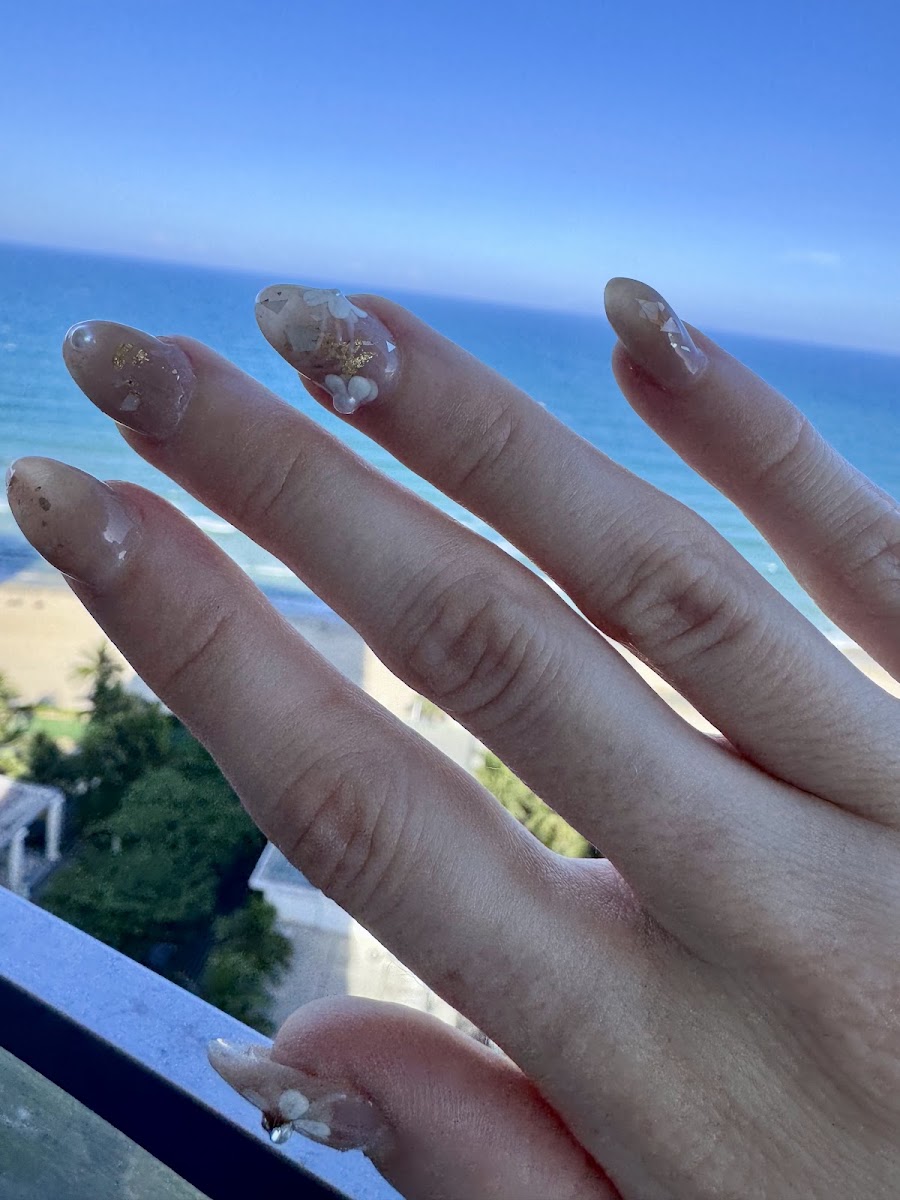 Viet Charm Nails & Spa 비엣 참 네일 & 스파
