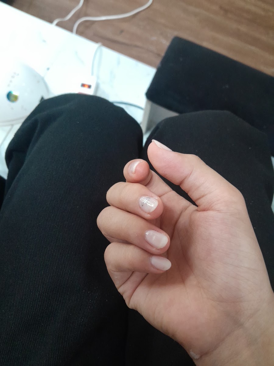 Nối Studio ( Hair - Nail - Makeup )